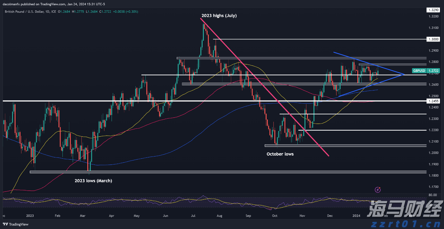 中报展现稳健业绩，解析卫龙美味(09985)在逆境中的成功之路