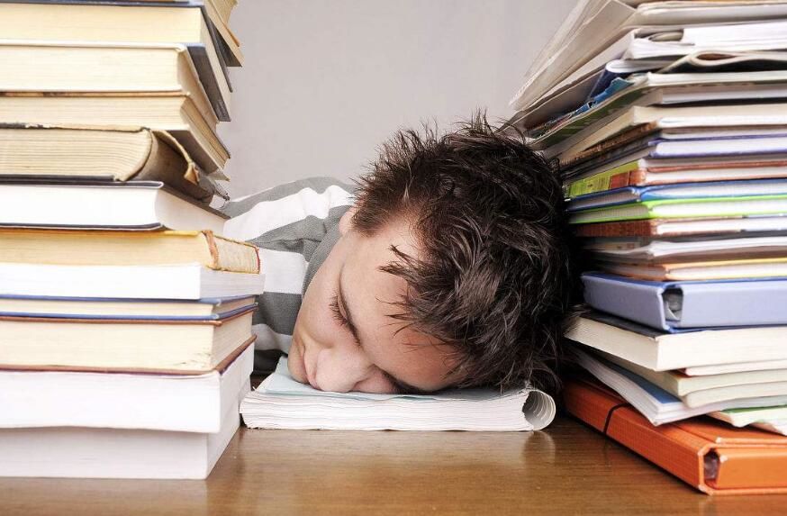 通讯丨花椰菜种子见证中巴农业合作