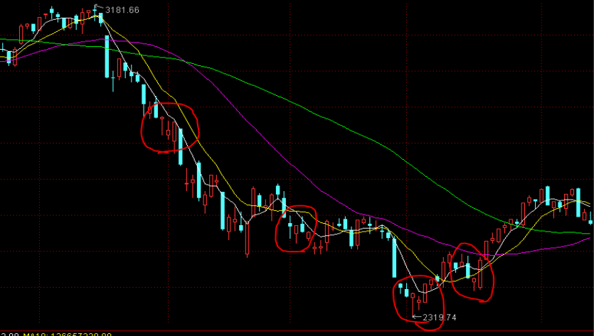 港珠澳大桥海关查获一起走私雪茄进境案