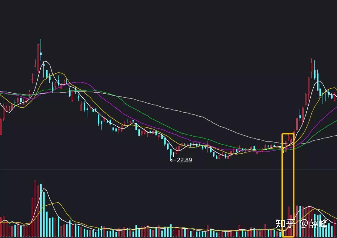 i帮忙|基孔肯雅热防疫不松懈 中医师支招献“锦囊”妙计 中药驱蚊香囊做起来!