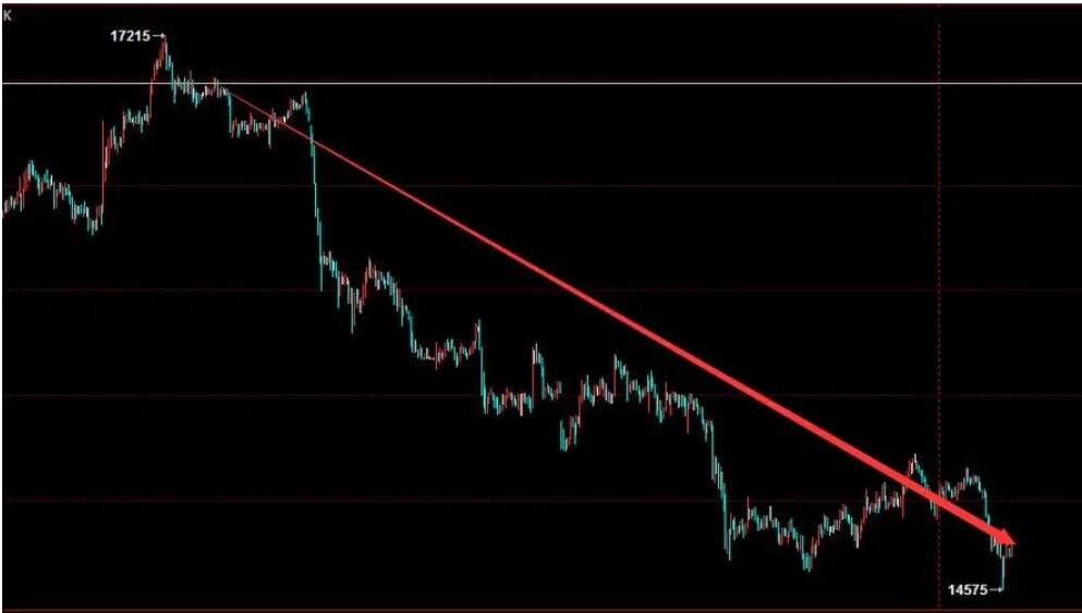 “秋冻”“贴秋膘”有讲究！专家回应秋季养生热门话题