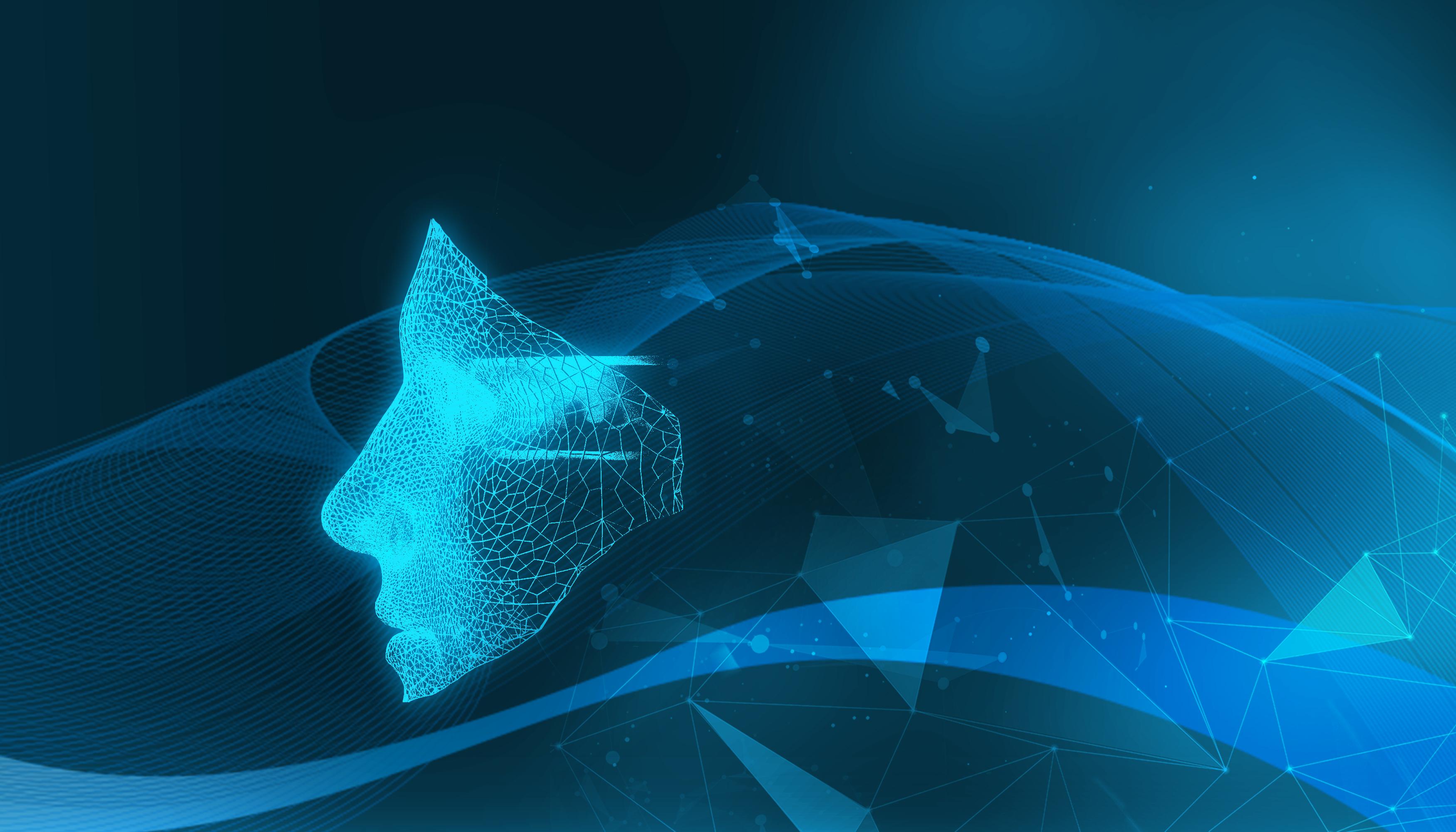 创意赋能高考 湛江四中2025高考助力视频暖心发布